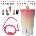 マグカップ 600ml こぼれない 蓋付き 軽量 大容量 二重構造 真空 おしゃれ 男女兼用 保温 保冷 断熱 タンブラー トラベルタンブラー 2個セット コーヒーカップ 304 ステンレス 持ち運び アウトドア 車 車用 ストラップ付き