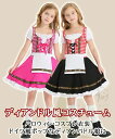 【コスパ最高】ハロウィン コスチューム コスプレ ビールガール Beer 演出服 撮影 パーティー 可愛い 北欧風 ヨーロッパ 子供 女の子 文化祭 トップス ワンピース イベント
