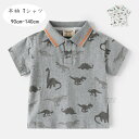 【店長おすすめ】韓国子供服 ポロシャツ 男の子 恐竜Tシャツ 半袖 ポロシャツ かっこいい ポロシャツ 90cm-140cm 兄弟 双子 誕生日 プレゼント 子ども服 ボーイズ カジュアル tシャツ 夏着 アンズホワイト グレー 90 アンズホワイト グレー キッズ トップス|詳細画像