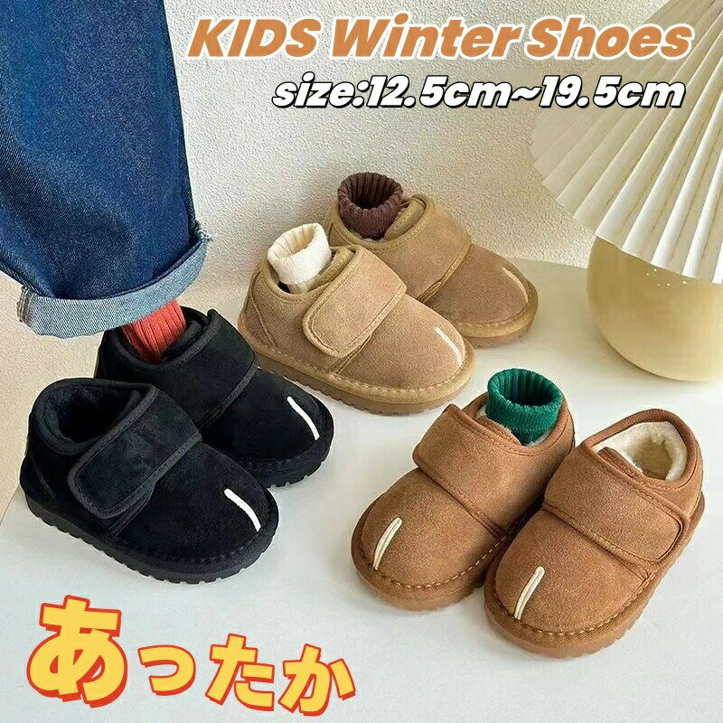 sunlight㤨֡ŹĹۥå ֡ ܥ Ρ塼 硼ȥ֡ ٥ӡ Ρ֡ 襤 ˤλ λ ٥ӡ Ҷ塼 ٥ӡ֡ ե å֡ ɴ  ⤳⤳ Ҷ֡  ޥå ҶפβǤʤ2,580ߤˤʤޤ