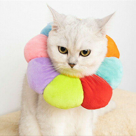 【P2倍！2912円→実質2854円 11/27 01:59まで】エリザベスカラー 犬 猫 ソフト 中型犬 小型犬 花柄 ペッ..
