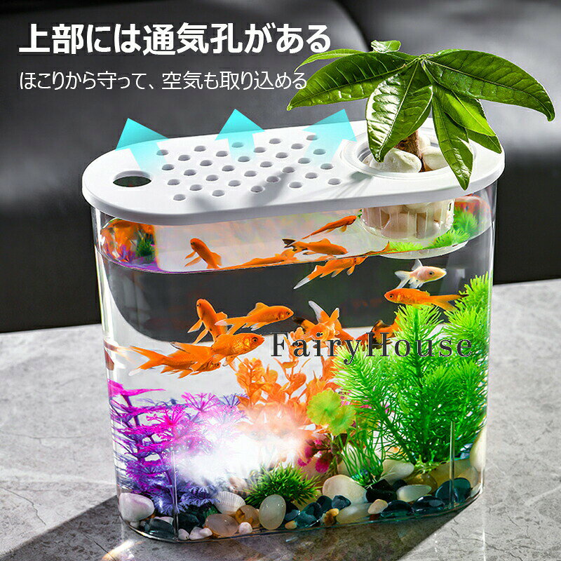 sunlightの水槽 金魚鉢 透明 PET 蓋付き 小型水族館 観賞魚用 カメ水槽 オブジェ 四角 長方形 四角い水槽 飼育 水槽 金魚鉢 観葉植物 容器水栽培｜アングル2