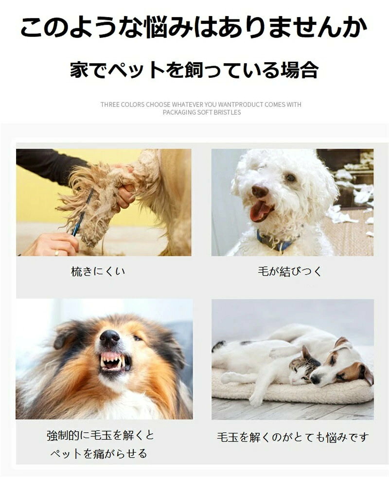 サンプル画像2