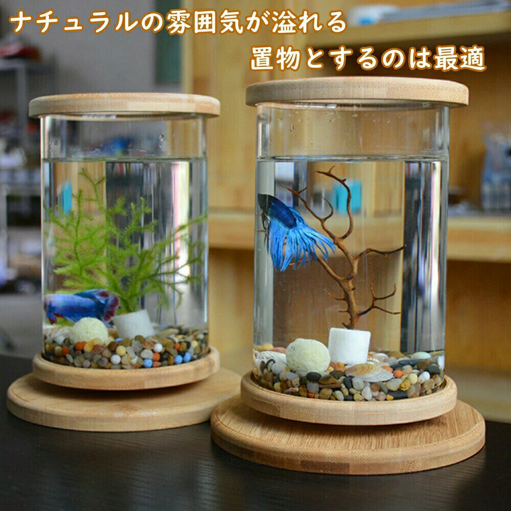 【店長おすすめ】水槽 金魚鉢 卓上ミニ水族館 円筒形水槽 ベタ水槽 円柱 丸形 熱帯魚 天然楠竹ベース ロマンチック ベッドルーム 玄関 部屋装飾 オフィス置物 デスクトップ小さな水族館