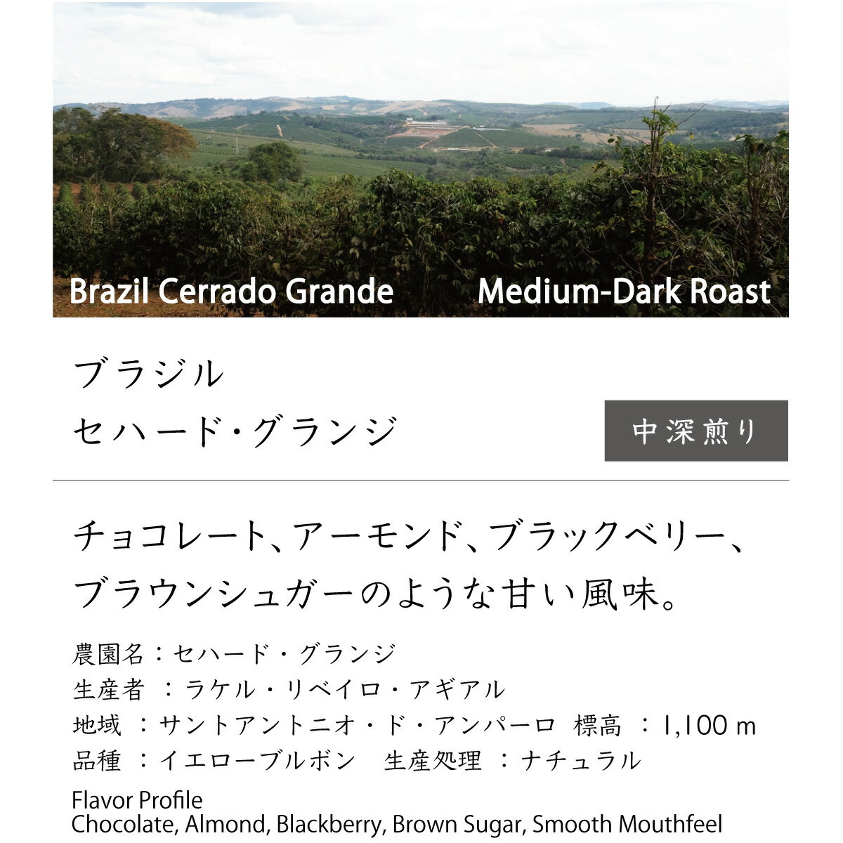 乐天商城 - ブラジル　セハード・グランジ　【コーヒー豆】 中深煎り スペシャルティコーヒー