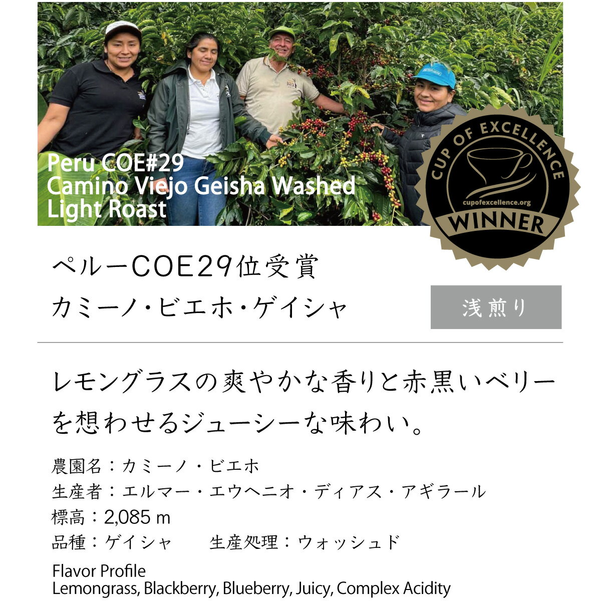 乐天商城 - 【特級豆】ペルー COE29位受賞カミーノ・ビエホ・ゲイシャ　【 コーヒー豆 カップ・オブ・エクセレンス 品評会 】