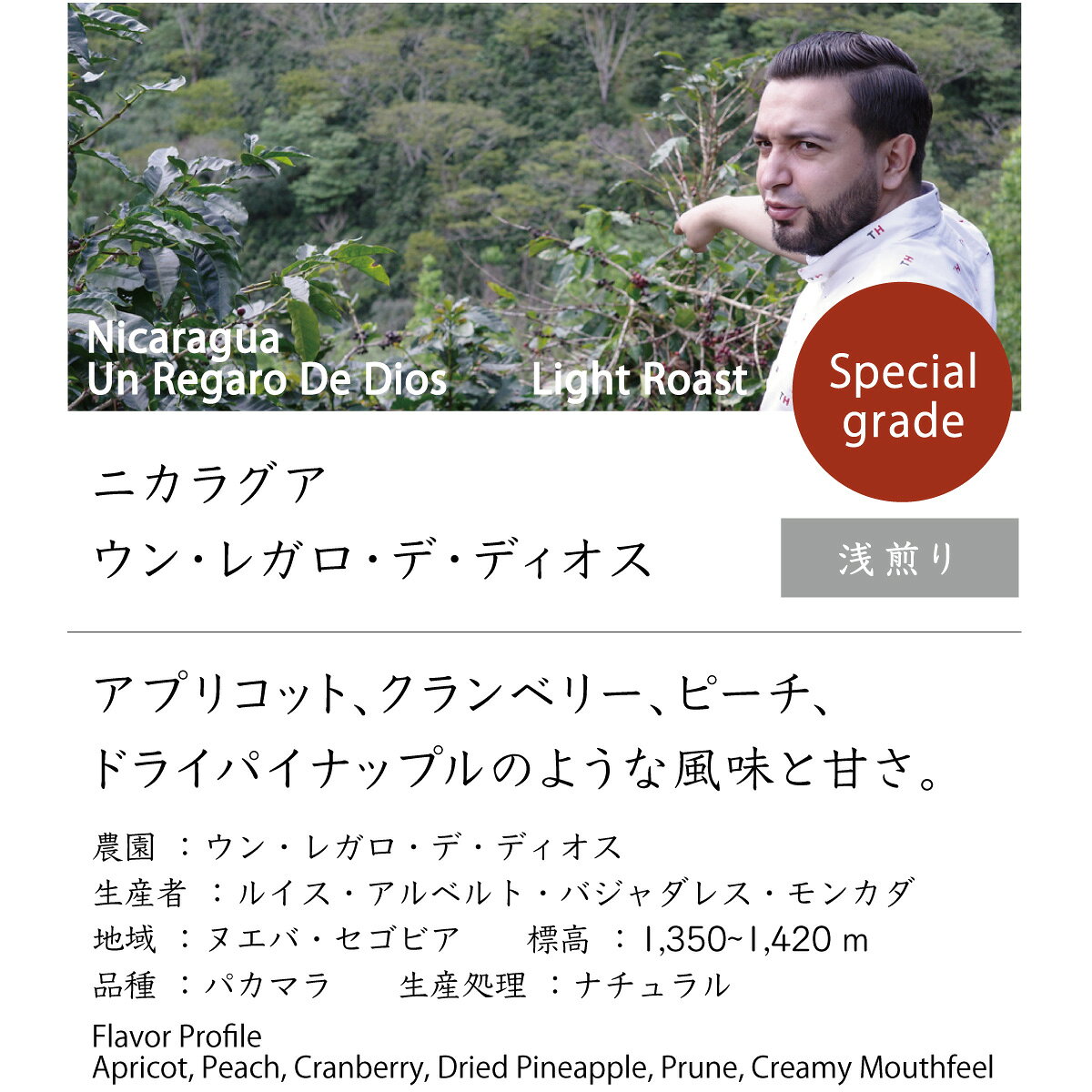 ニカラグア　ウン・レガロ・デ・ディオス　【コーヒー豆】 浅煎り スペシャルティコーヒー
