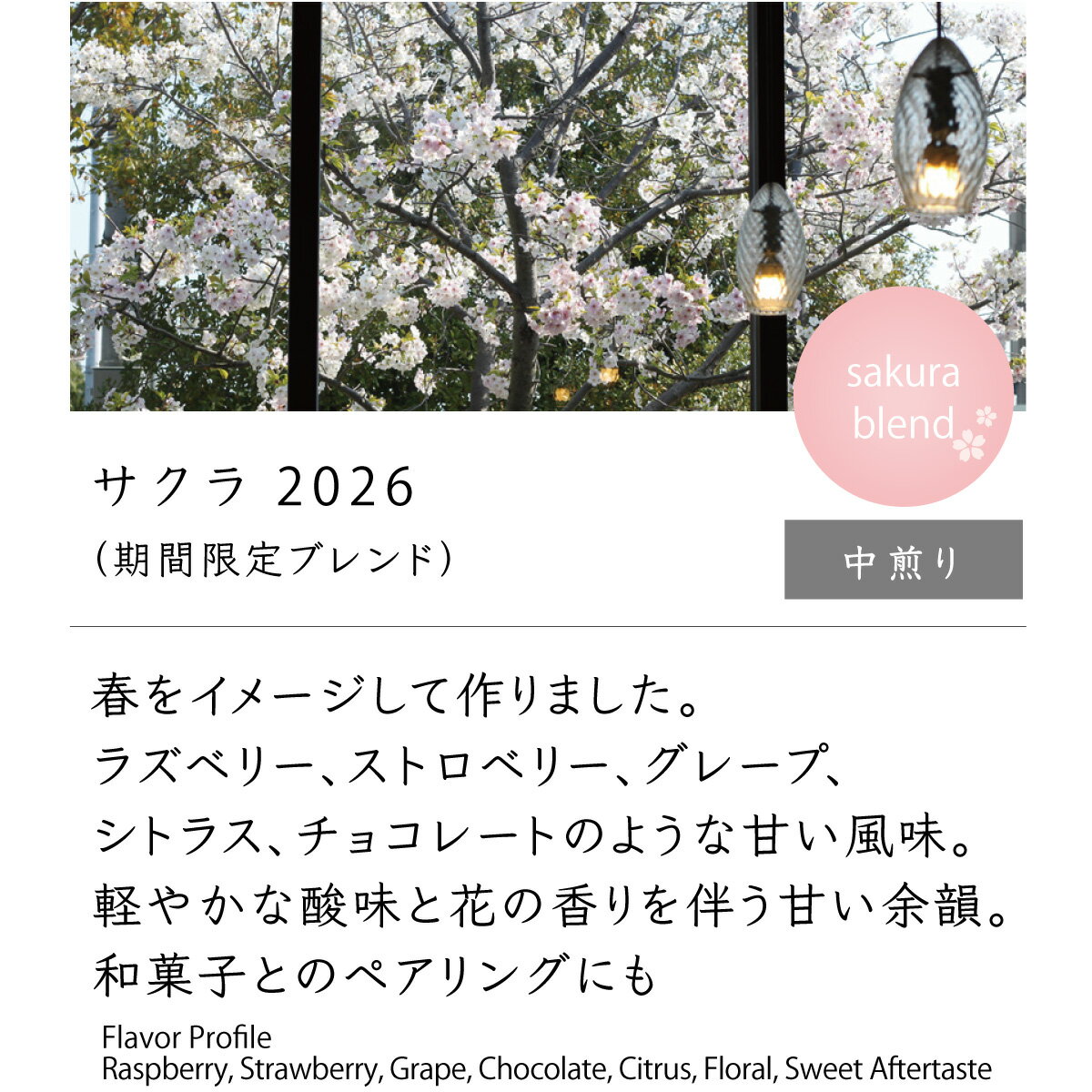 サクラ2026 【コーヒー豆】 中煎り