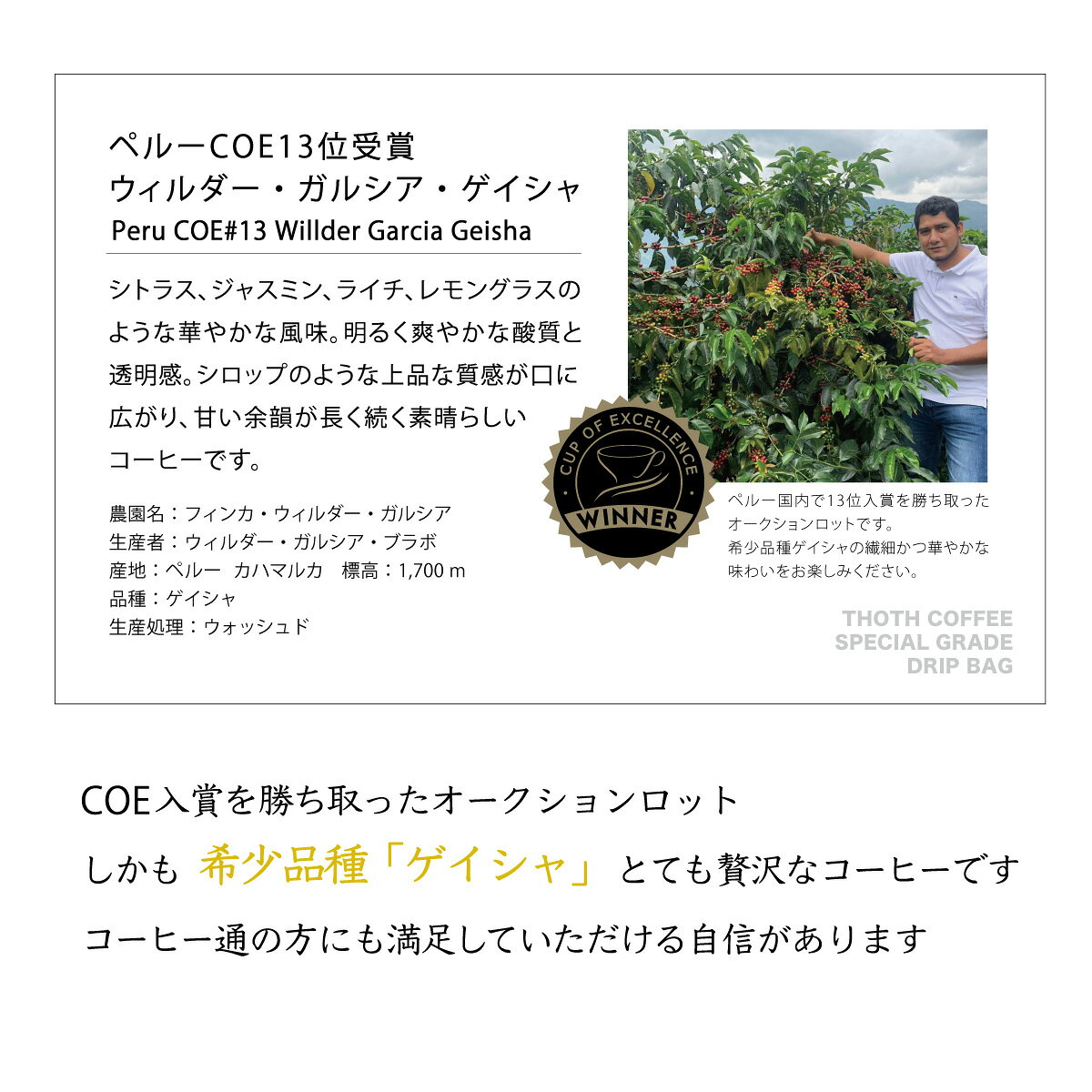 品評会入賞銘柄入り 特級コーヒーギフト L ドリップバッグ 内祝い 御祝い などに カップ・オブ・エクセレンス COE 入賞 ゲイシャ 高級 コーヒー ギフト ドリップコーヒー スペシャルティコーヒー お歳暮 お祝い 出産内祝い 最高級 プレゼント 送料無料 thothcoffee-10000473 トートコーヒー【楽天市場店】 サンプル画像3