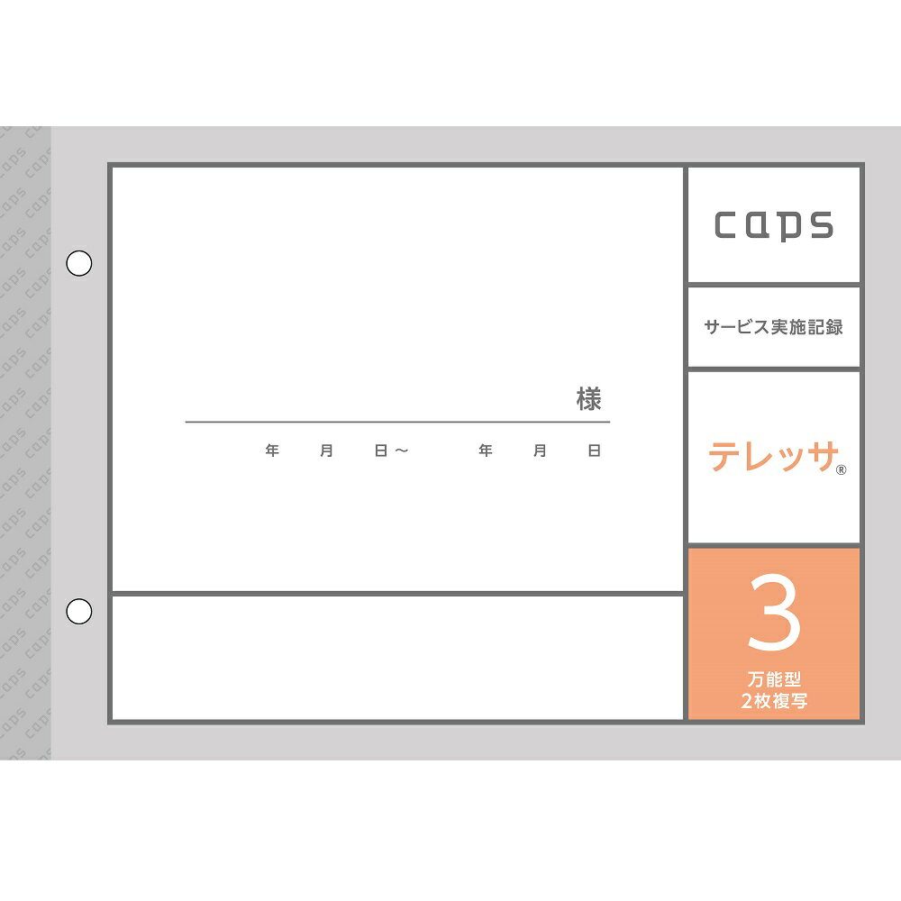 介護記録用紙　サービス実施記録テレッサ万能型50組×20冊　リニュアルしました 3