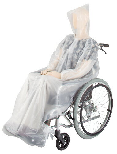 �֤����쥤�󥳡��ȡ��Ȥ��ڤ꥿����5����