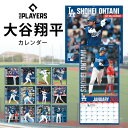 【MLBPA公式】大谷翔平カレンダー2025 大谷翔平 公式グッズ カレンダー 2025年 メジャーリークベースボール選手会公式ライセンス商品