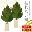 \9/25迄!!3000円以上で5%OFF/国産 枯れないプリザーブド榊 榊立て付 榊 丹波産 高級椿葉 プリザーブドフラワー 仏花 長持ち お手入れ簡単 神棚 ヒノキの専用榊縦付
