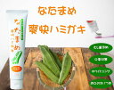 \8/27迄!!最大2000円クーポン配布中/【口臭・ネバつき・歯槽膿漏対策に】なた豆 歯磨き粉 口臭予防 口臭ケア 口臭対策 虫歯予防 歯槽膿漏に効く 歯磨き粉 エチケット ナタ豆 なたまめ歯磨き 歯を白くする 歯磨き粉 / なたまめ爽快ハミガキ 120g