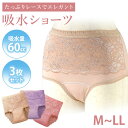 \最大2000円クーポン配布中!/【60cc対応のエレガントな吸水ショーツ】3枚セット 尿漏れパンツ 女性用 軽失禁パンツ レディース 失禁パンツ 吸水ショーツ 尿もれ 深履き 綿100 吸水 消臭 安心ショーツ 産前 産後 介護