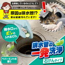 【家中の排水管がスッキリ爽快】40錠×4個セット 排水管の一発洗浄 石けんタイプ / 排水管のヌメリ・ニオイに効く 排水管 掃除 排水口 ぬめりとり ヌメリ ニ...