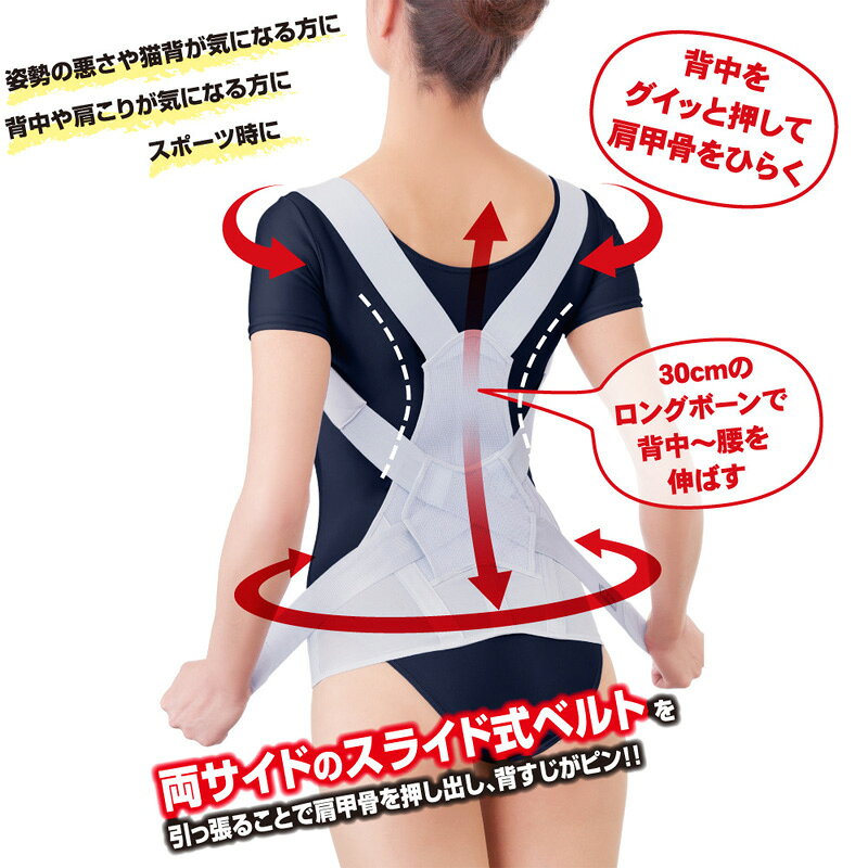 お医者さんのがっちり背すじベルト 〈 背筋矯正...の紹介画像3