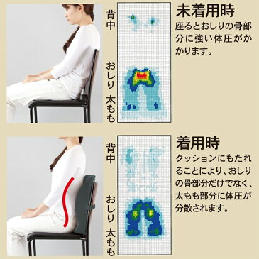 お医者さんの姿勢クッション 〈 姿勢矯正 椅子 オフィス 健康クッション 矯正 背すじ 背筋 背中 背もたれ 低反発 ウレタン デスクワーク 猫背矯正 〉