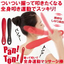 握って叩いて全身運動 マッサージ棒 Pan Ton パントン 〈 肩たたき 肩叩き 肩たたき棒 マッサージ 肩こり パントン パンットンッ panton 〉