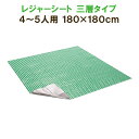 レジャーシート 三層タイプ 4〜5人用 2畳サイズ 180×180cm レジャーマット 大きい 三層構造 アルミシート加工 チェック柄 運動会 海水浴 アウトドア 遠足 F