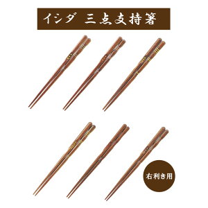 三点支持箸 うるし仕上げ 右利き用 イシダ 矯正箸 しつけ箸 はし上手 木製 天然木 漆 右きき FM