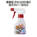 業務用 スカッとサビ取り泡スプレー 180ml 〈 サビ取りスプレー サビ取り もらいサビ サビ落とし 錆落とし 泡スプレー 業務用 〉