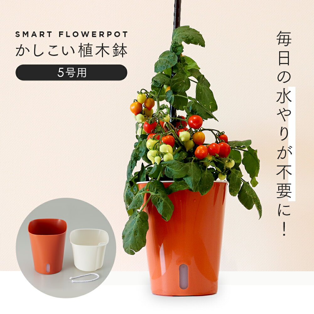 樂天商城 - かしこい植木鉢 5号用