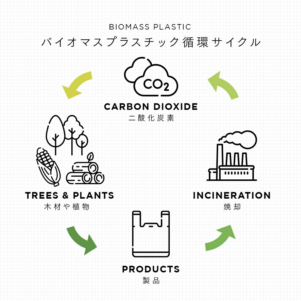 �Х����ޥ��Ǻ��۹������ݻ��� 40����