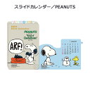 AP-194 XChJ_[ PEANUTS  A[gvgWp 2024N J_[ 1000128547