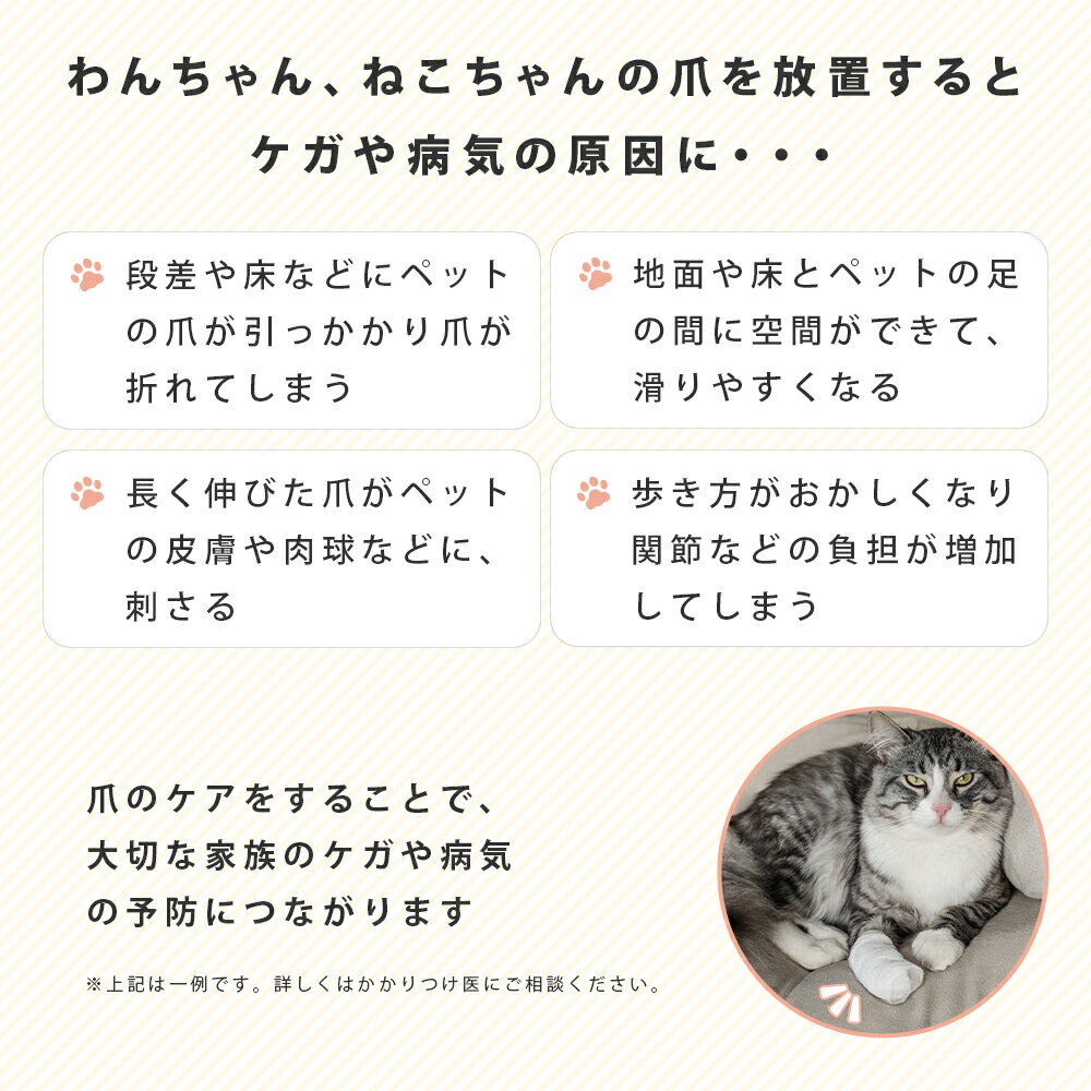 �ڥå�����ư�ޥȥ�ޡ�