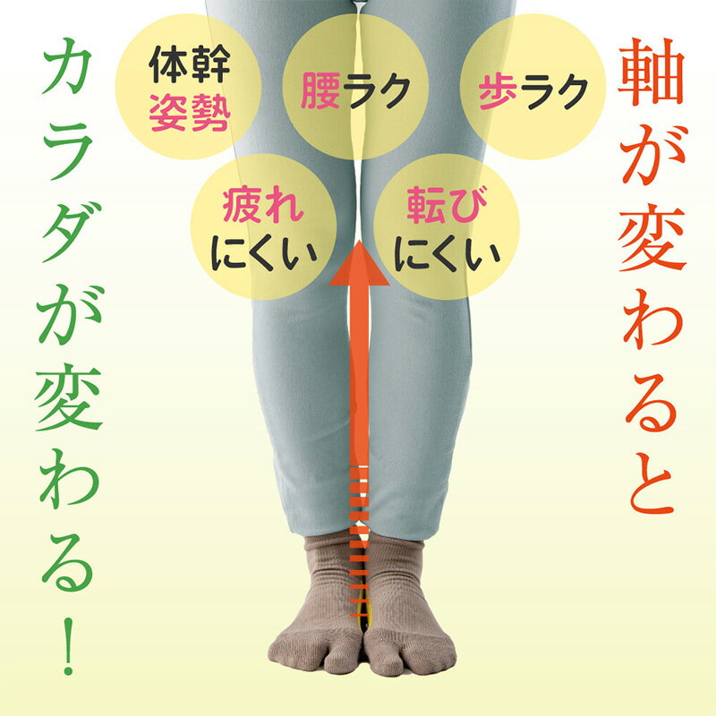 ハピラボ 体幹学べるフットサポーター 日本製の紹介画像3