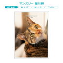 マンスリー 猫川柳 アートプリントジャパン 2025年 10月始まり B6 ダイアリー M-124