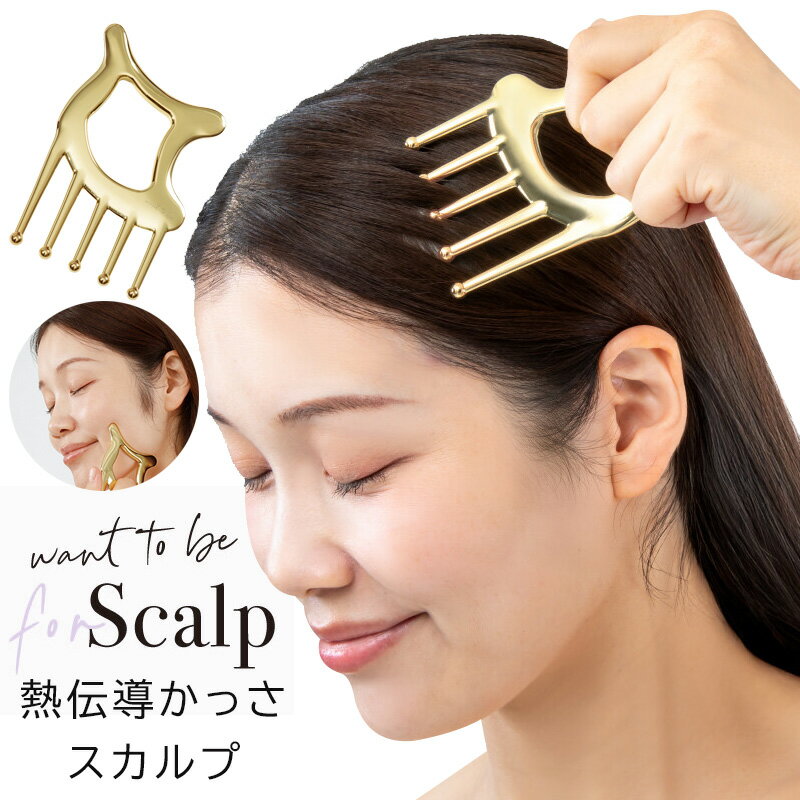 WTB 熱伝導かっさ スカルプ