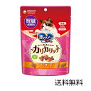 【クーポン利用で最大7%OFF】銀のスプーン 腎臓の健康維持用 おいしい顔が見られるおやつ カリカリッチ シーフード 60g ユニ・チャーム 国産