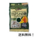 【クーポン利用で最大7%OFF】アラタ 乳酸菌付きおやつセレクト かぼちゃの種 60g 小動物 うさぎ ハムスター リス モルモット 間食