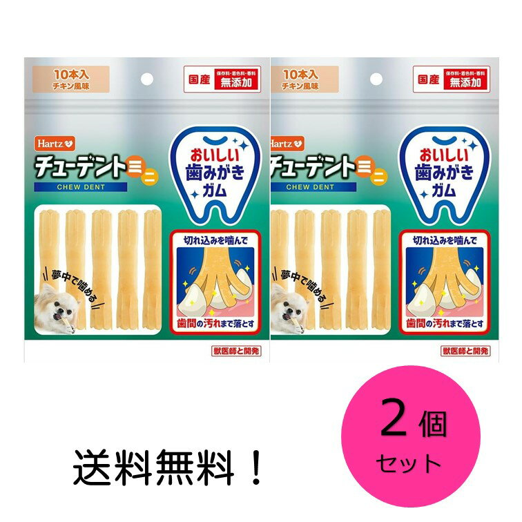 【クーポン利用で最大7％OFF】ハーツ (Hartz) 犬用おやつ チューデントミニ チキン 2個セット