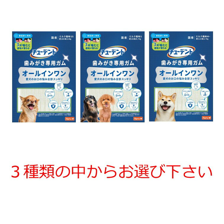 【クーポン利用で最大7％OFF】ハーツ チューデント 歯みがき専用ガム オールインワン SS S M〜 サイズをお選びください 1袋 Hartz 住商アグロ 犬用おやつ