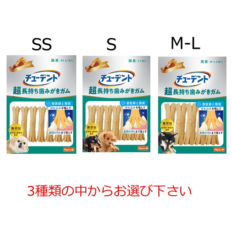 楽天市場】チューデントの通販