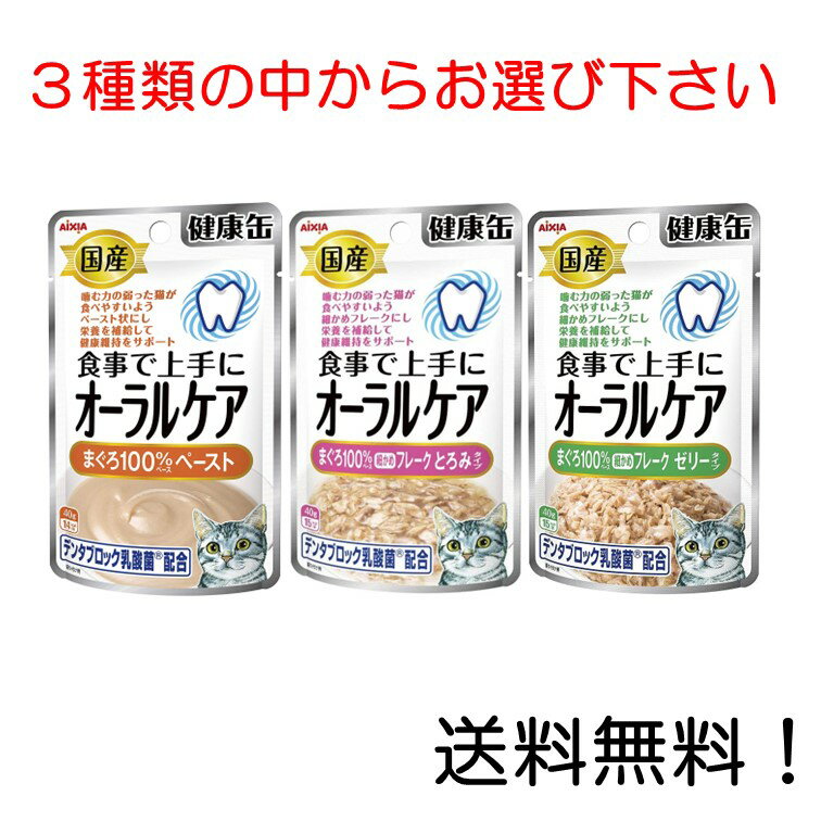 【クーポン利用で最大7％OFF】アイシア 国産 健康缶パウチ オーラルケア まぐろペースト まぐろ細かめフレーク とろみタイプ　まぐろ細かめフレーク ゼリータイプ の中からお選び下さい。