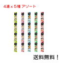 【クーポン利用で最大7%OFF】キャネット 3時のスープ (25g×4連)×5種アソート(20食分)