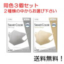 【クーポン利用で最大7％OFF】超快適マスク スマートカラー(SMART COLOR)同色3個セット アッシュグレー ナチュラルベージュ からお選び下さい。ふつう 7枚入