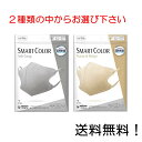 【クーポン利用で最大7％OFF】超快適マスク スマートカラー(SMART COLOR)アッシュグレー ナチュラルベージュ からお選び下さい。ふつう 7枚入り