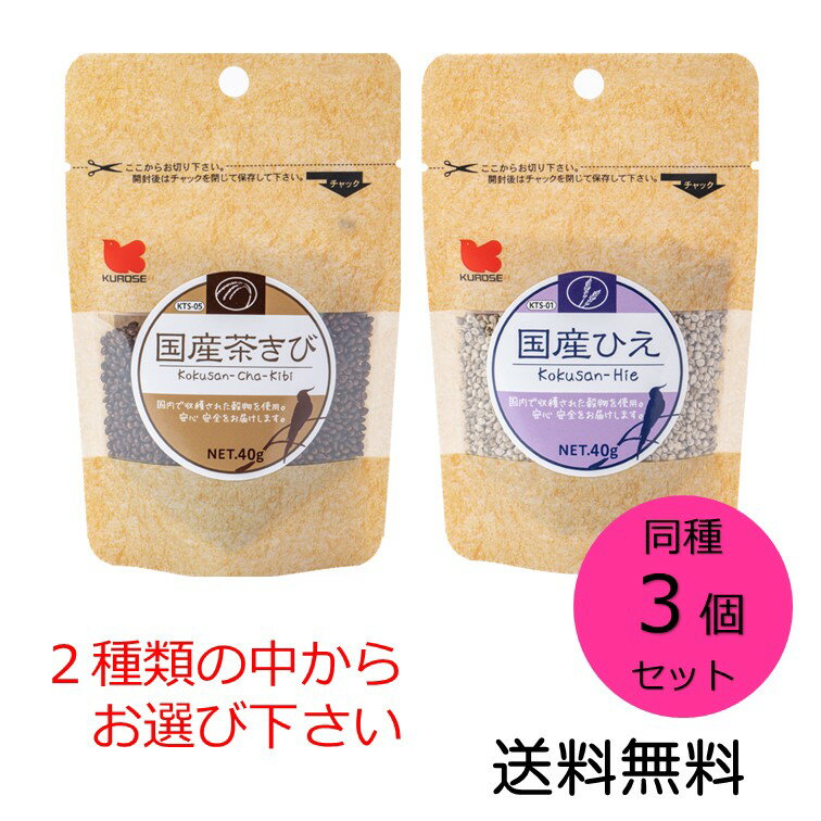 ڥݥѤǺ7OFF۹ڥåȥա  Ʊ3ĥå 㤭 Ҥ ɤ餫Ӳ KTS-05