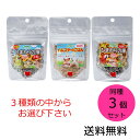 【クーポン利用で最大7%OFF】黒瀬ペットフード 自然派宣言 同種3個セット ひまわりの種小粒 ハムスターのごはん ひまわりの種大粒 からお選び下さい 小鳥 リス 小動物