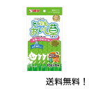 【クーポン利用で最大7%OFF】ニャン太のとってもおいし草 とろ~りピューレ 10g×6本入 サンライズ マルカン