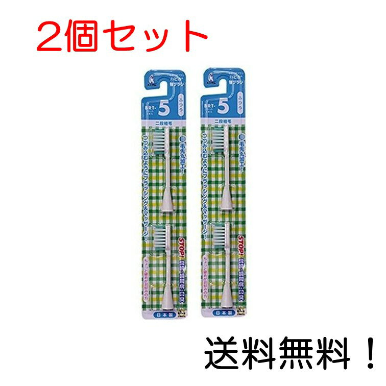 楽天スリーエスマート【クーポン利用で最大7％OFF】電動歯ブラシ ハピカ専用替ブラシふつう 2段植毛2本入（BRT-5T） 2個セット