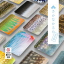 さかなかるた 【淡水魚版】24枚組 かるた うろこ カードゲーム お風呂で遊べる 千葉印刷 子供 おもちゃ 知育 知育玩具