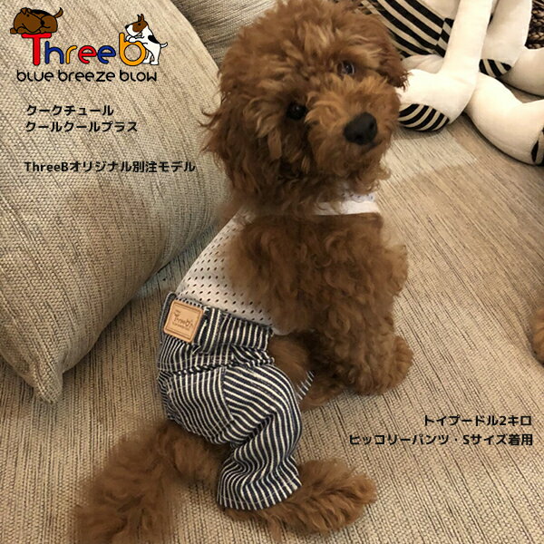 【小型〜中型犬】【最終セール】クークチュール ThreeBスリービー別注オリジナルモ...