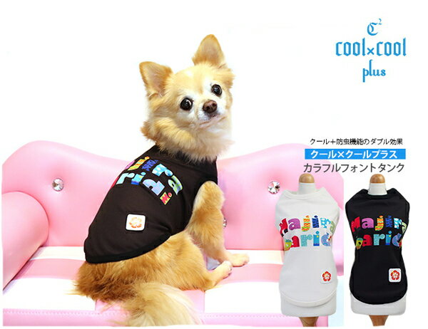 【3月末で掲載終了】【ファイナルセール】クークチュール セール クールクールプラス カラフルフォント..