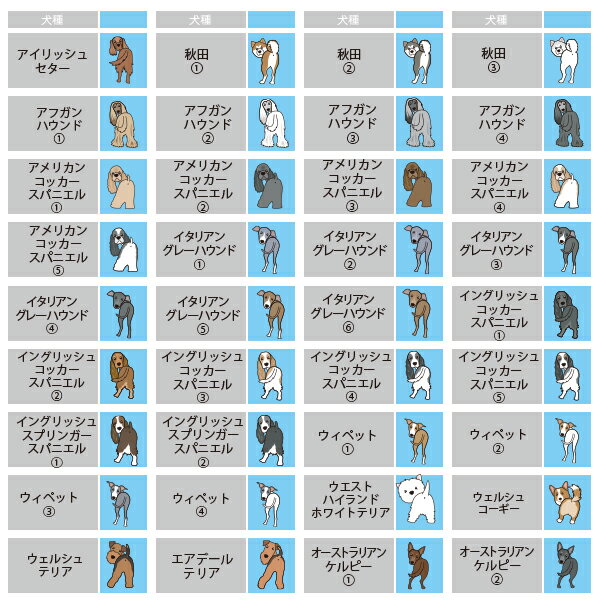 �ɥå������ȥե�å���D���������� ��ThreeB���ꥸ�ʥ�ۡ������̡��ե�å����������å���̾���졡���������ס��ɥ롡����������������ǥ� ����